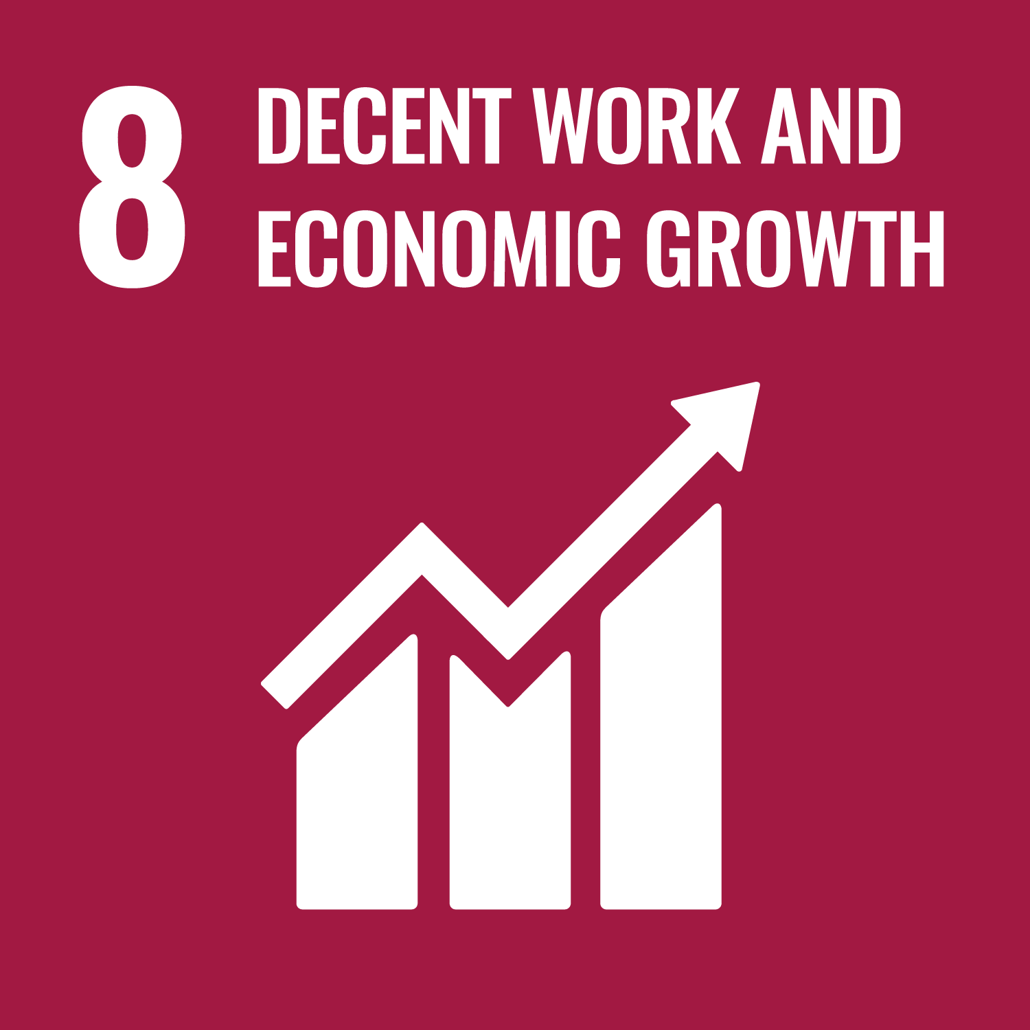 8｜DECENT WORK AND ECONOMIC GROWTH