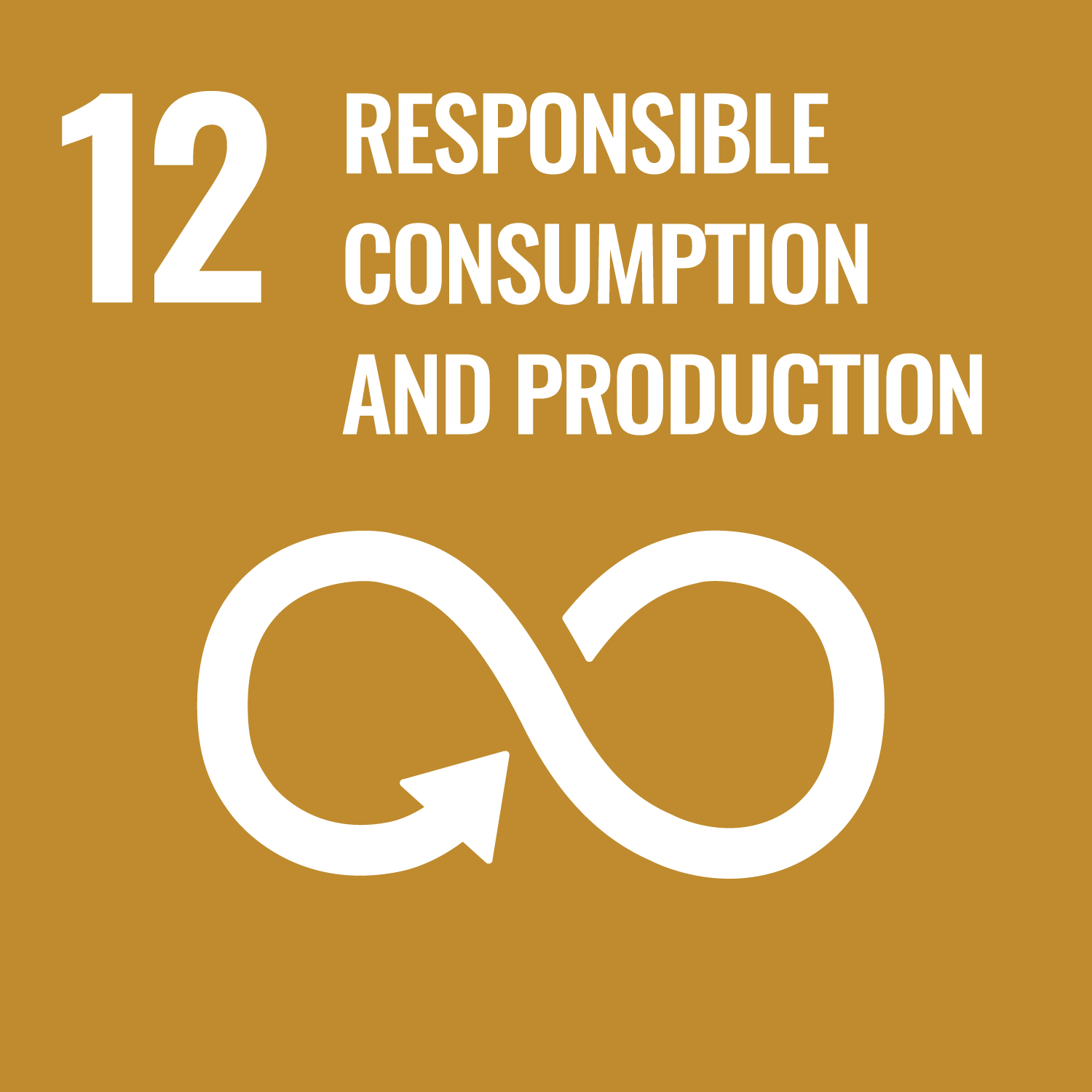 12｜RESPONSIBLE CONSUMPTION AND PRODUCTION